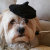 PUPPIES TO REMEMBER Boutique