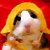 Stoned_Hamster