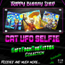 Cat UFO Selfie: Gift From The Kitten
