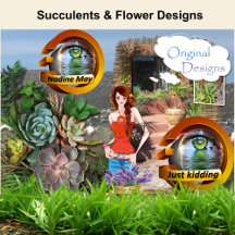 Flowers, Succulents - Exotic plants - South Africa