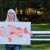 inkgoeswildalaska