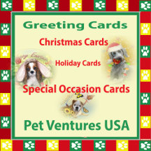 Holiday & Special Occasion Cards