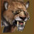 Vic_Challenger_Gear