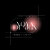 Nova_Design