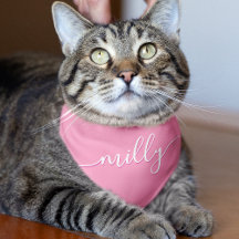 Bandana Collars for Cats