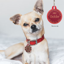 Dog Agility MACH Ribbon Custom Keepsake Ornaments 