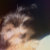 fuzzyfriends57