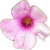 BalkanBloom