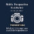 Nicks_Perspective