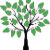 Genealogy Designs