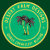 Desert Palm Designs