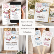 Teenie Weenie Dachshund Gender Reveal