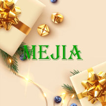 Mejia Name T-Shirt