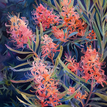 Australian Wild Flower