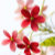 Designs_by_SJ
