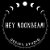 Hey Moonbeam!