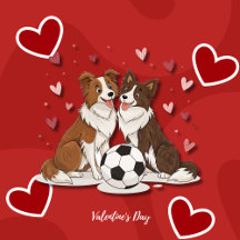 Border Collies with soccer ball for Valentine's Da