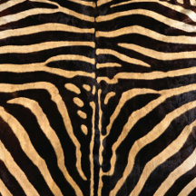 Faux Zebra Animal Skin Collection