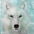 WhiteWolvesMerch