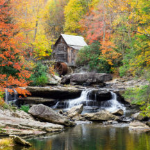 Scenic Collection