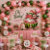 HelloBabyStudio