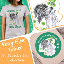 Kerry Blue Terrier / St. Patrick's Day