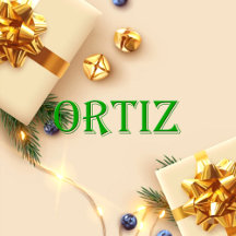Ortiz Name T-Shirt