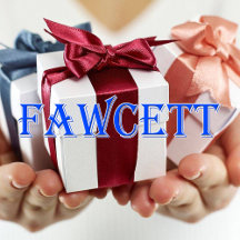 Fawcett_Name T-Shirt