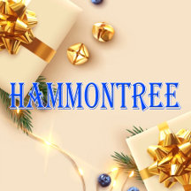 Hammontree_Name T-Shirt