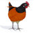 Neon Chook Designs