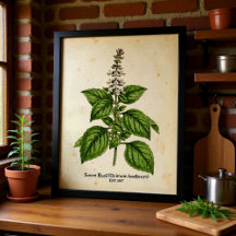 Vintage Farmhouse Kitchen & Bar Botanicals