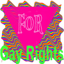 Gay And Lesbian Rights Stuff