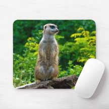 Mouse mats