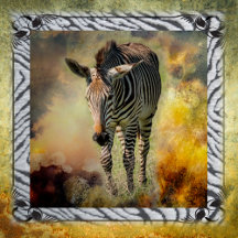 The Wildlife Collection