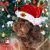 The_Christmas_Corner