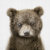 MyPetiteBear