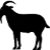 G.O.A.T. Inc