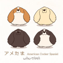 アメたま <American Cocker Spaniel>