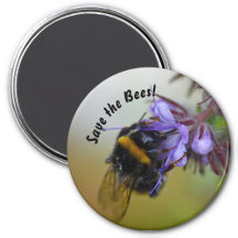 Save the Bees!