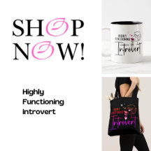 Highly Functioning Introvert