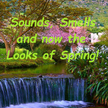 Spring Collection
