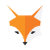RunningWithFoxes