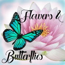 Flowers & Butterflies