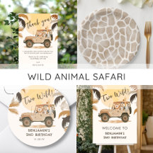 Safari Wild Animal