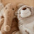 Plush Photo
