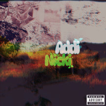 Addi Nicki Album Cover Artwork