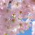 Clear_light