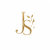 JoylumeStudio