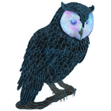 Night Owl by Brittyliz 