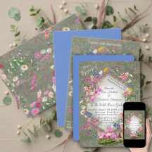 Cosmos Wild Flowers in Abundance